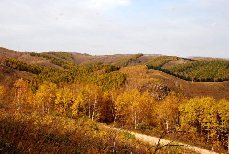dsc_0127.jpg