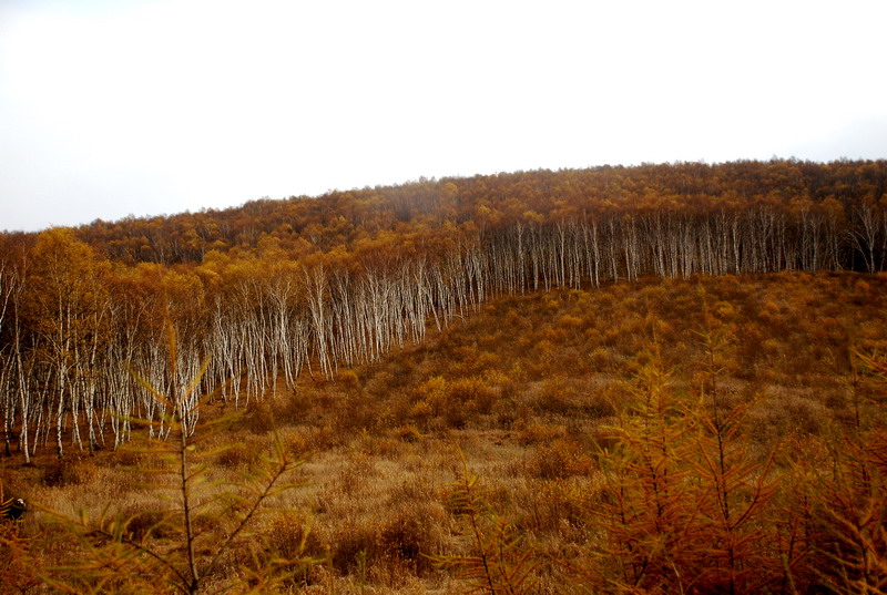 dsc_0159.jpg