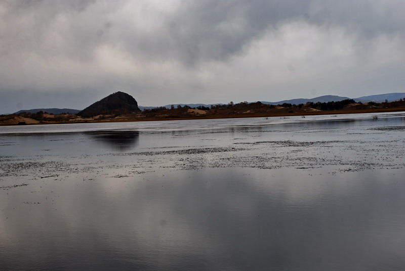dsc_0212.jpg