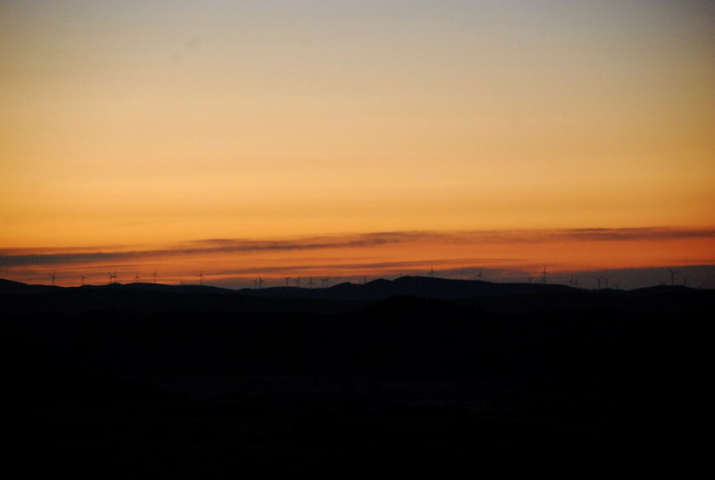 dsc_0351.jpg