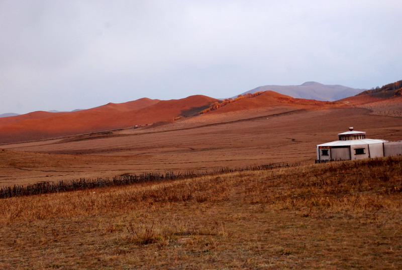 dsc_0287.jpg