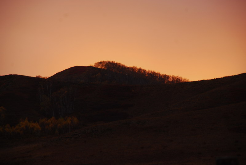dsc_0300.jpg