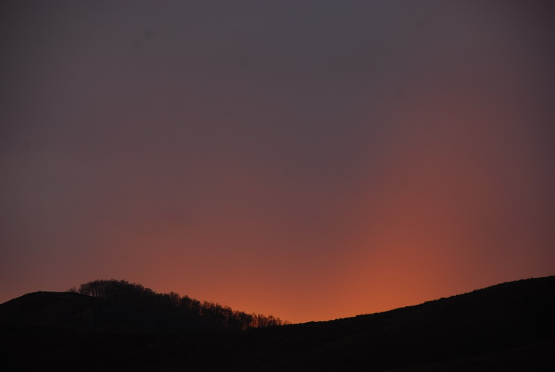 dsc_0314.jpg
