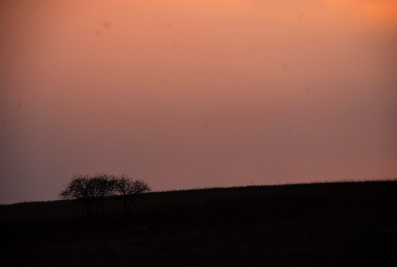 dsc_0320.jpg