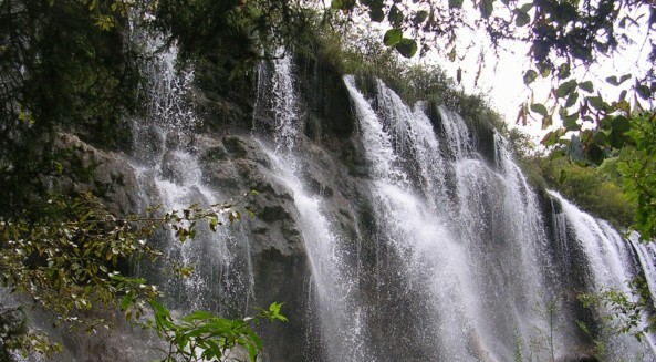 ŵٲ2.jpg