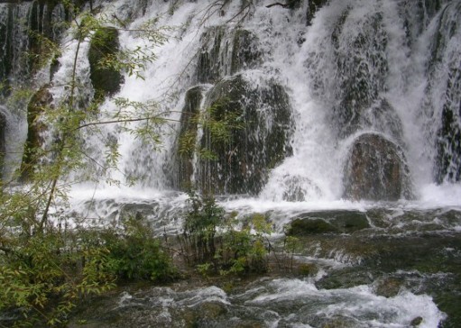 ŵٲ4.jpg