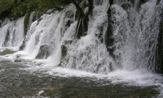 ŵٲ3.jpg