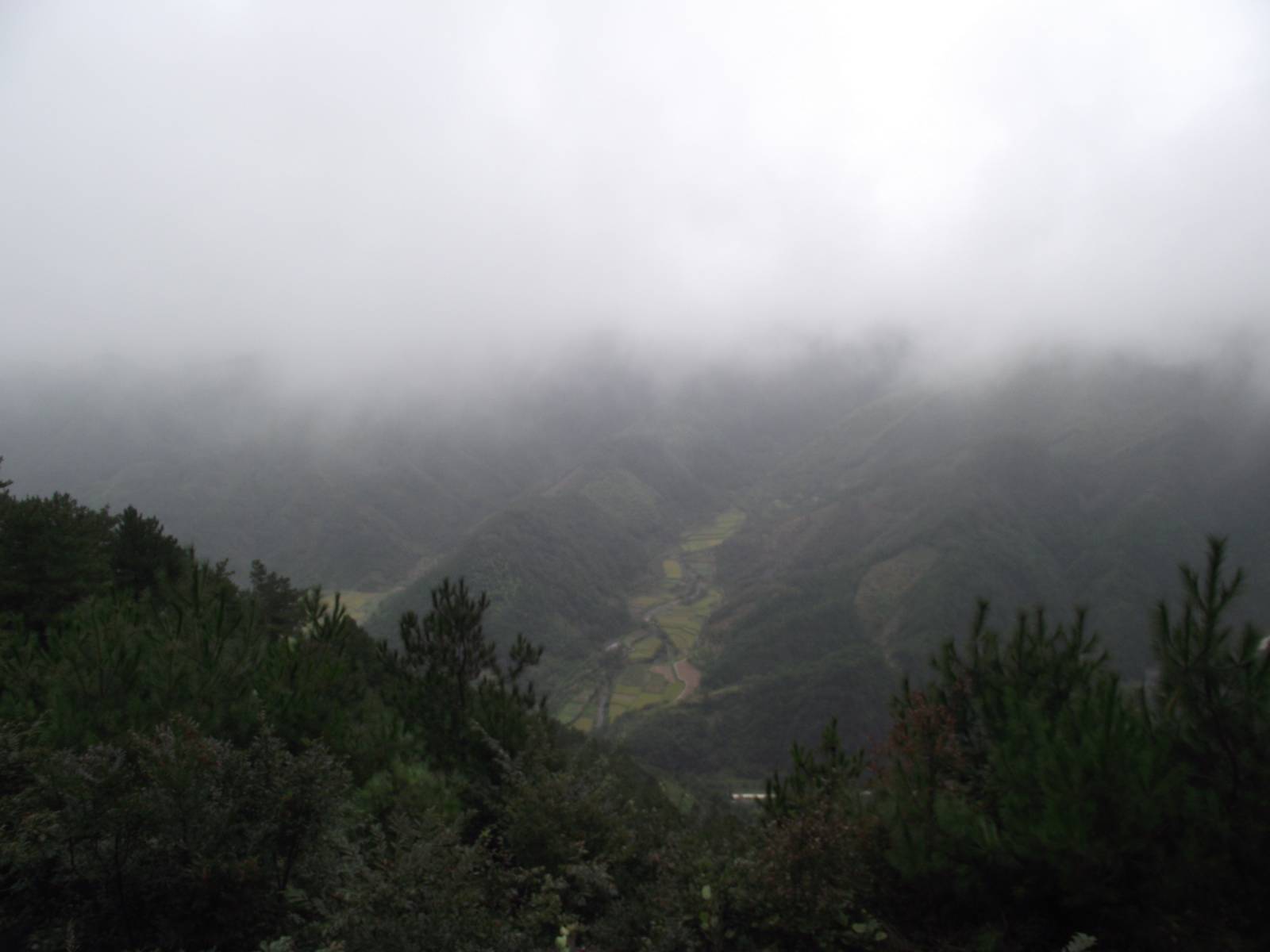 dscf0857_Ŀѹ.jpg