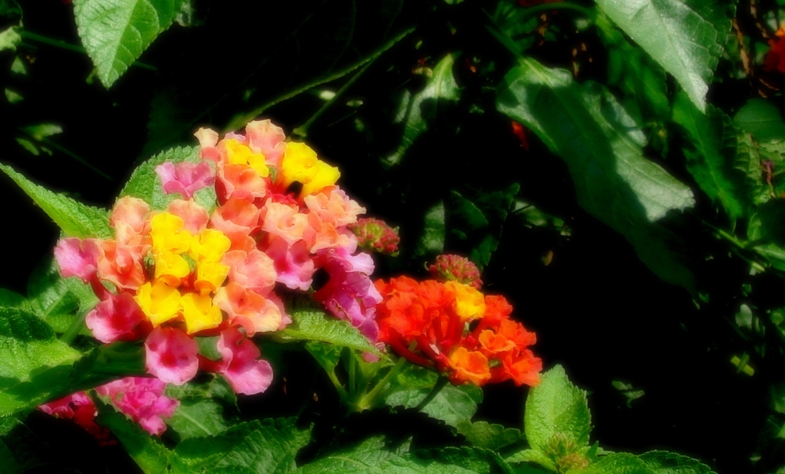 dsc08484.jpg