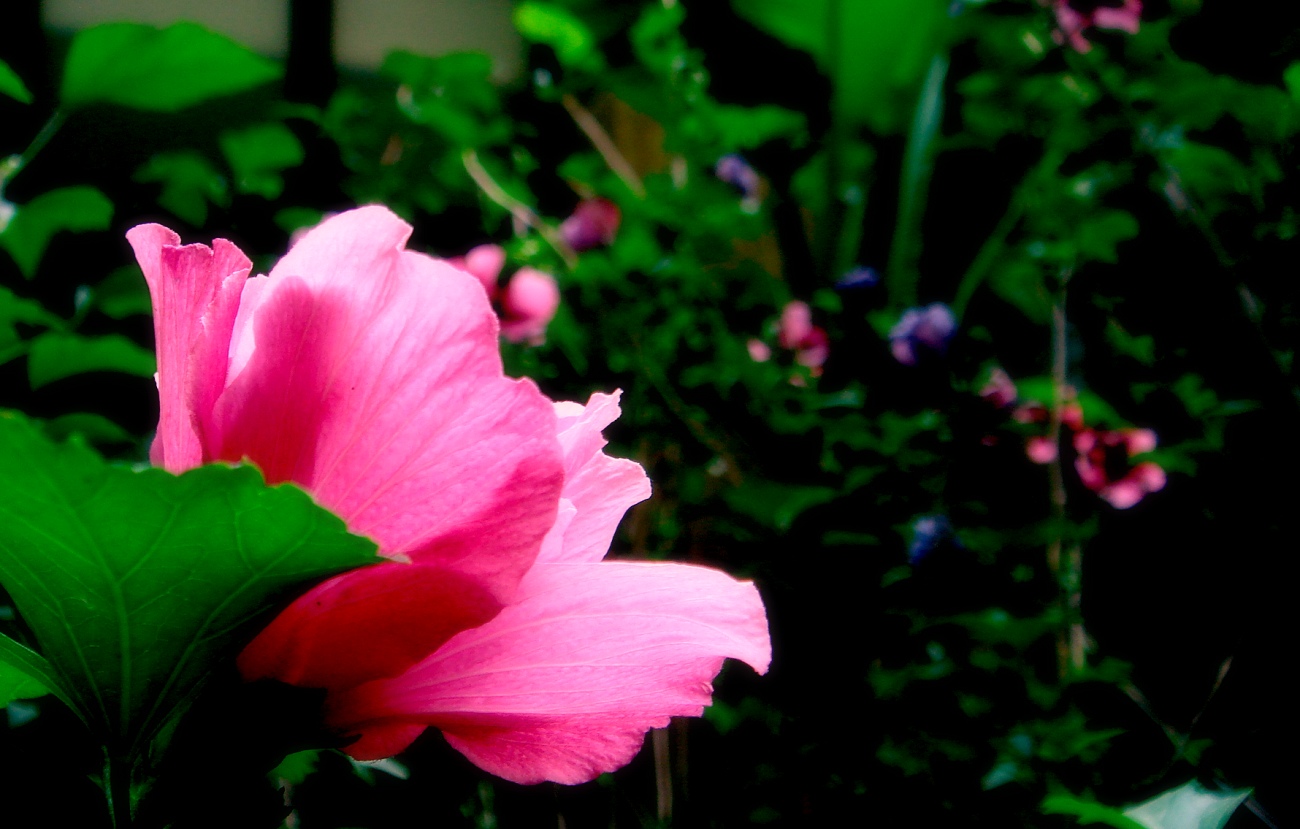 dsc08451.jpg
