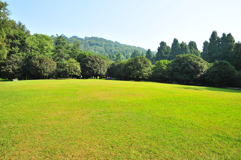 dsc_1501_.jpg