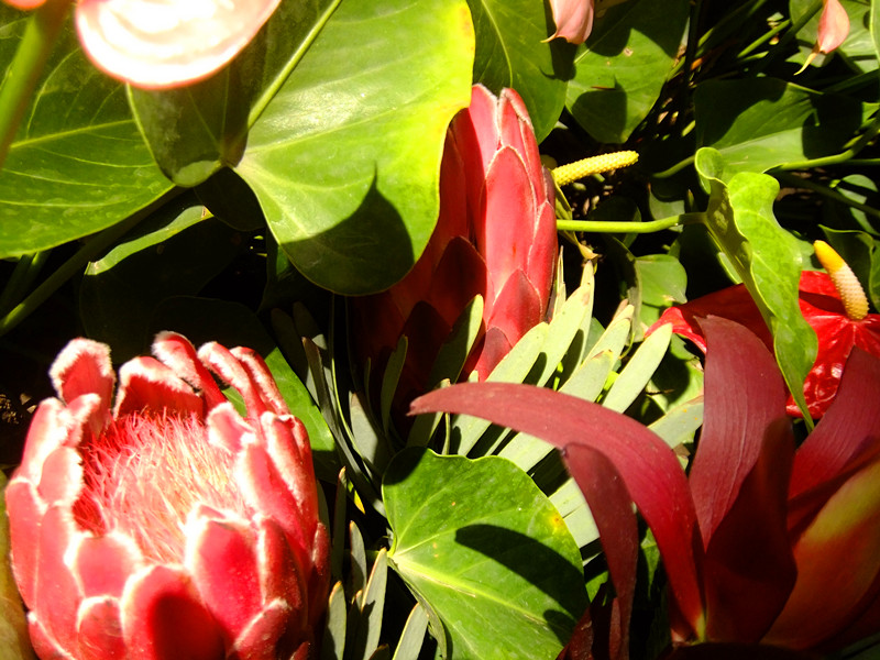 dscf78321_.jpg