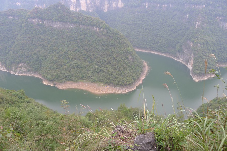p1010956_.jpg