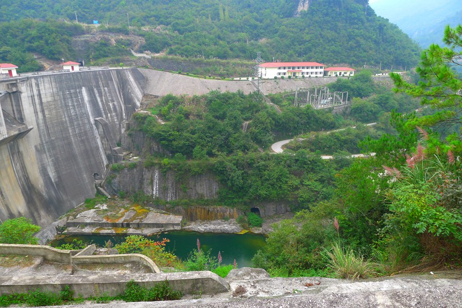 p1010847_.jpg