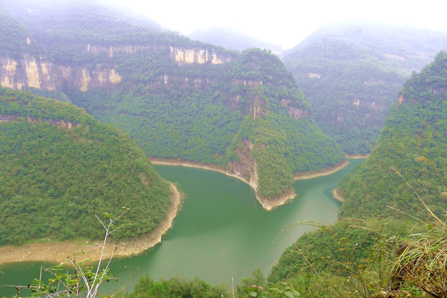 p1010961_.jpg