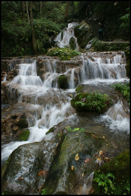 conew_ (51).jpg