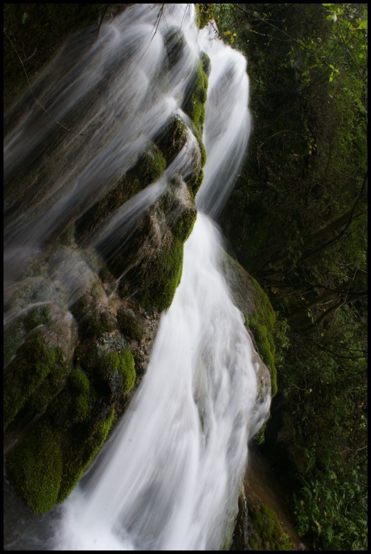 conew_ (81).jpg