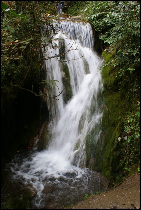 conew_ (91).jpg