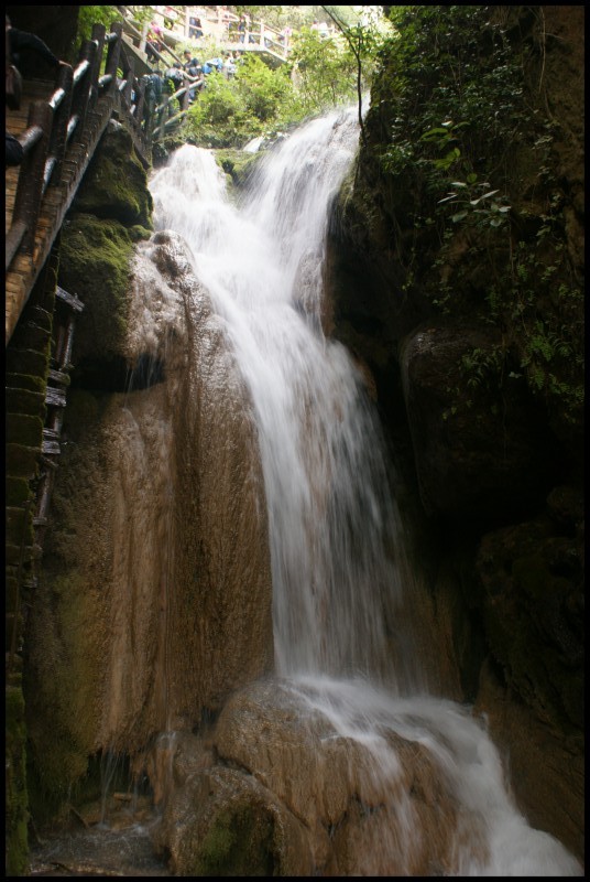 conew_ (141).jpg