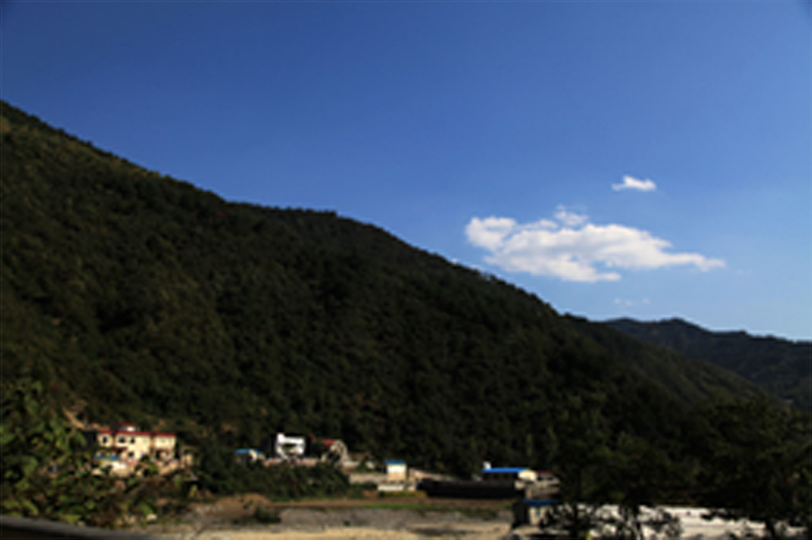 img_8521-1.jpg