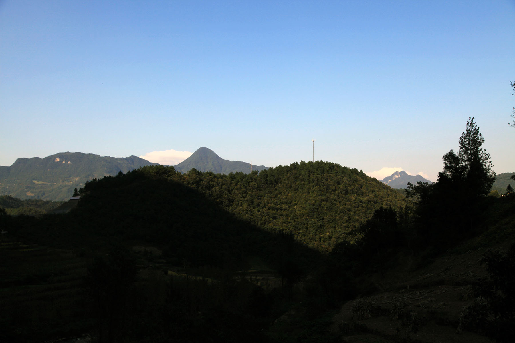 img_8534.jpg