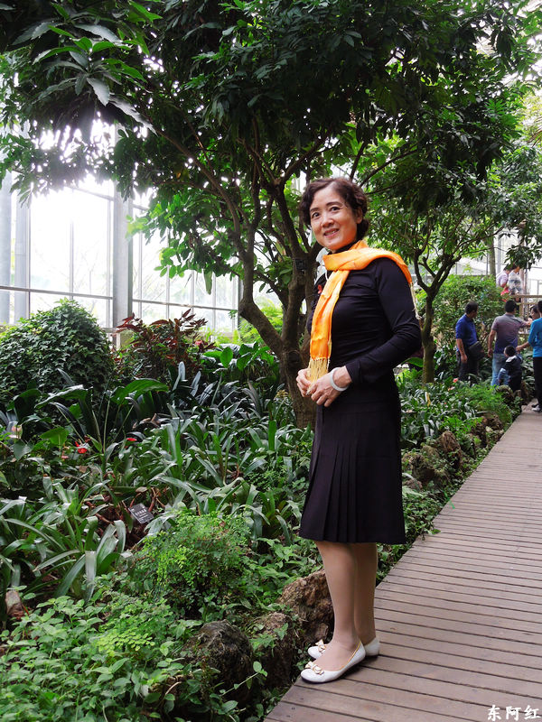 dscn3457.jpg