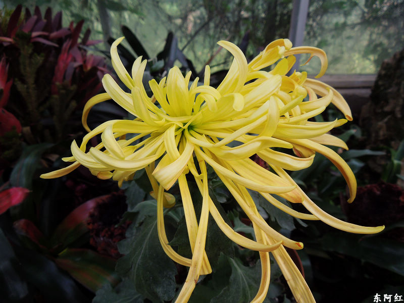 dscn3505.jpg