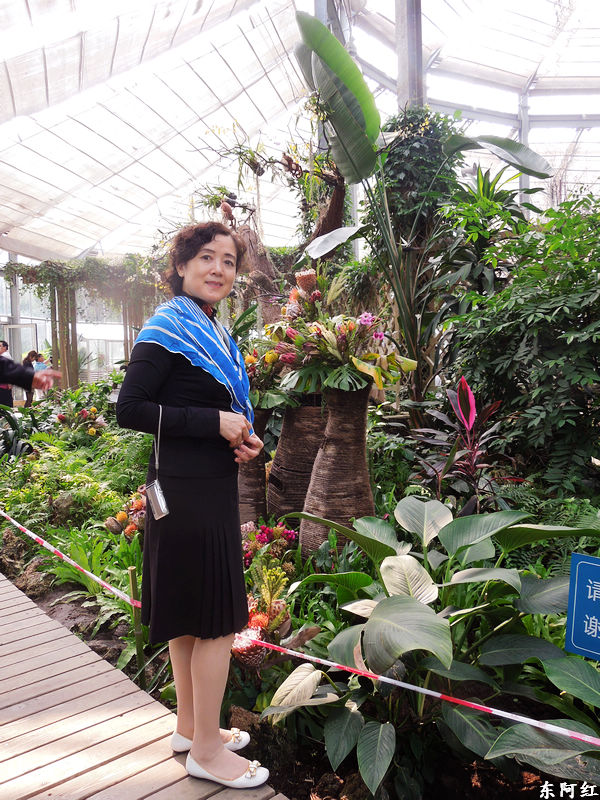 dscn3508.jpg