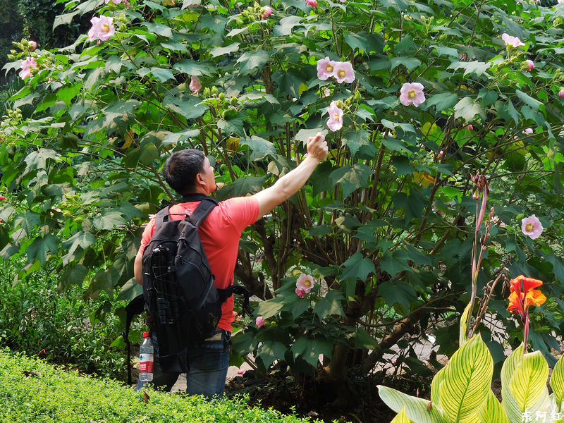 dscn3551.jpg