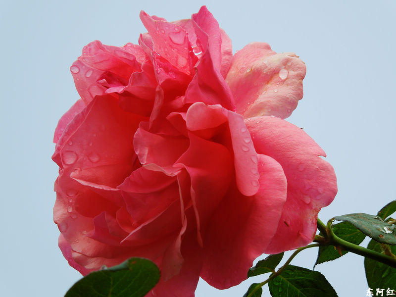 dscn3433.jpg