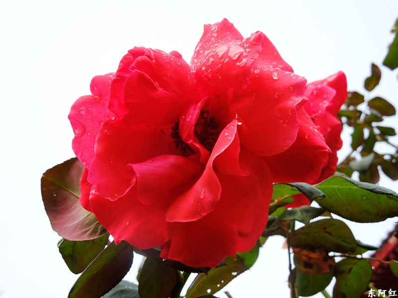 dscn3434.jpg