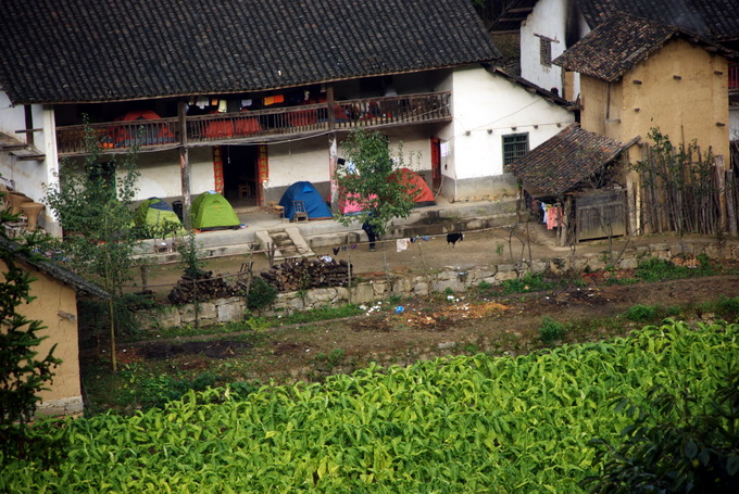 dsc_0156.jpg