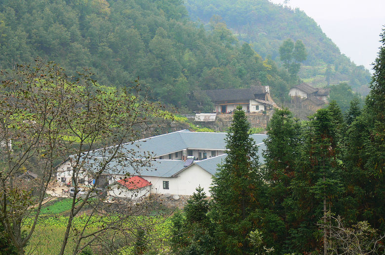 p1230846.jpg
