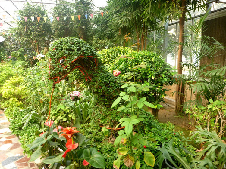 p1120868__.jpg