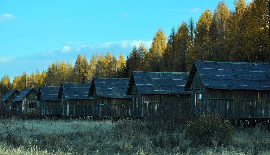 dsc_0205.jpg