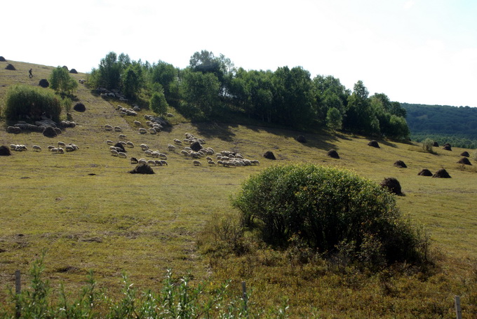 dsc_0268.jpg