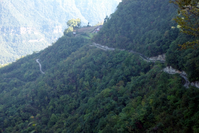 dsc_0006.jpg