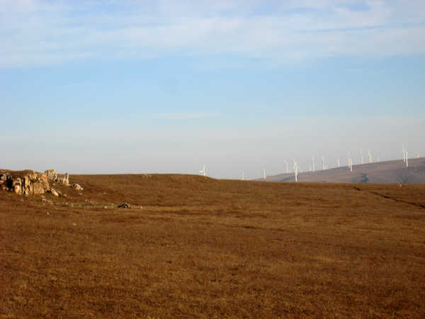 img_1227.jpg