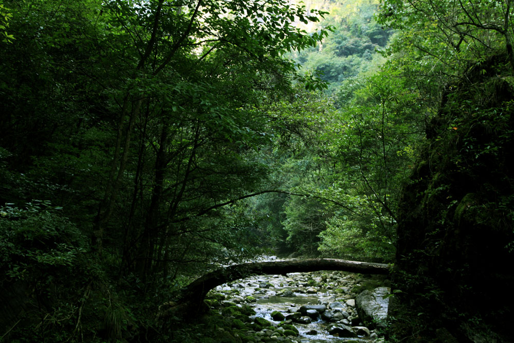img_8621.jpg