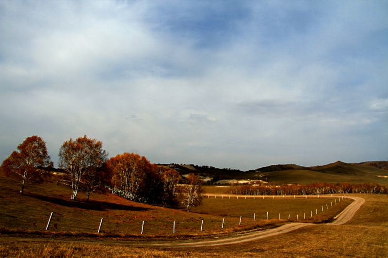 img_4179.jpg