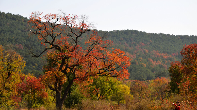 dsc_4783.jpg