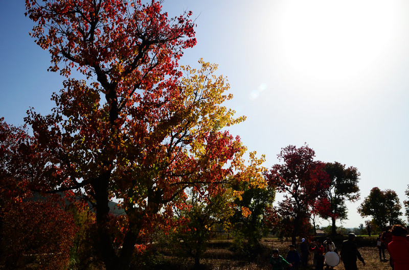 dsc_4838.jpg