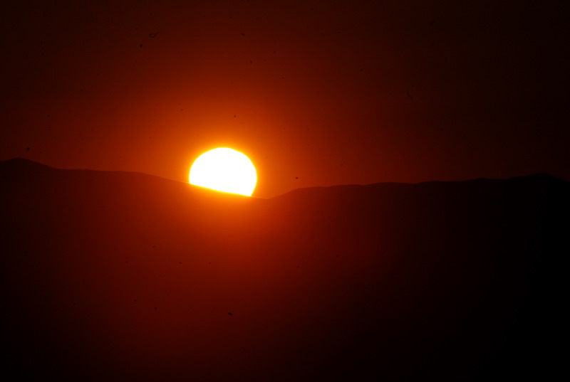 dsc_0391.jpg