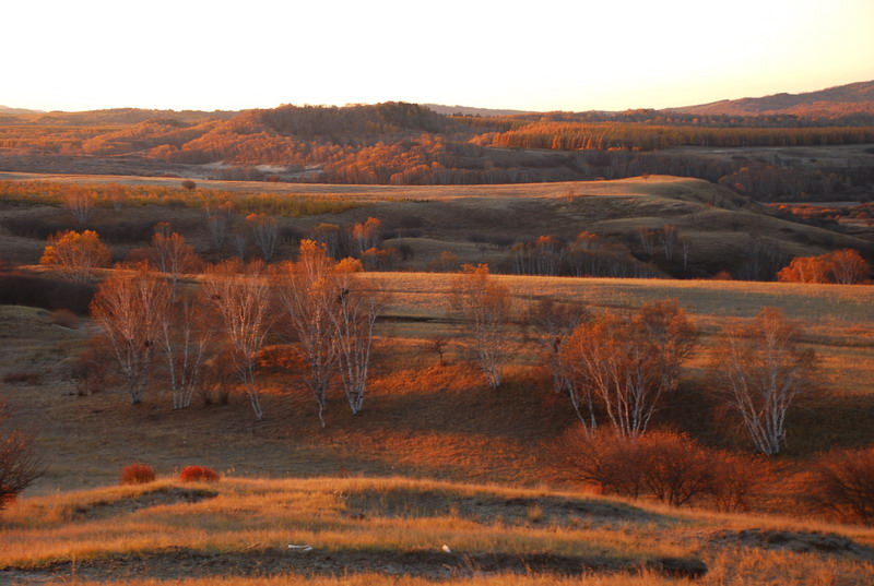 dsc_0407.jpg