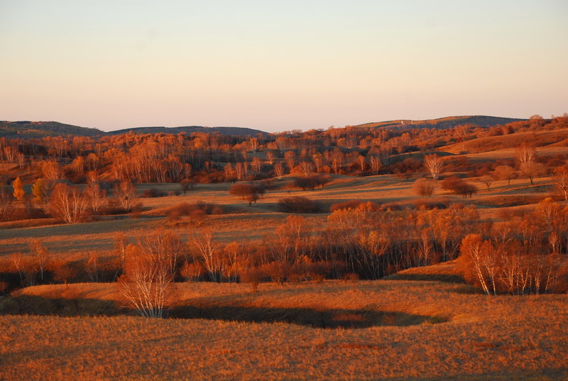 dsc_0414.jpg