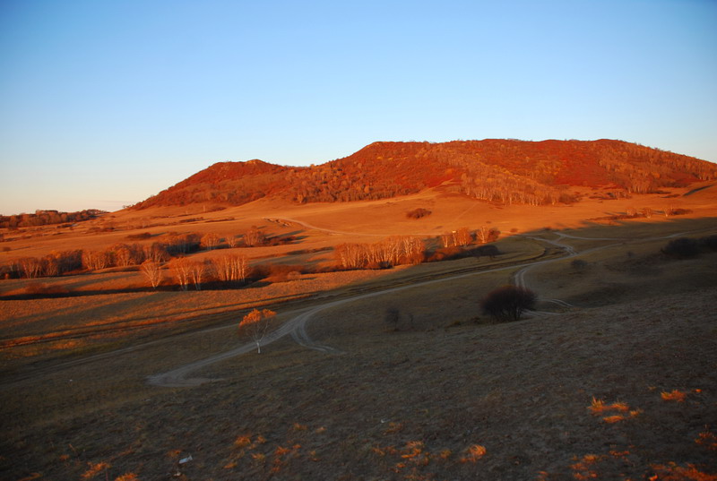 dsc_0416.jpg