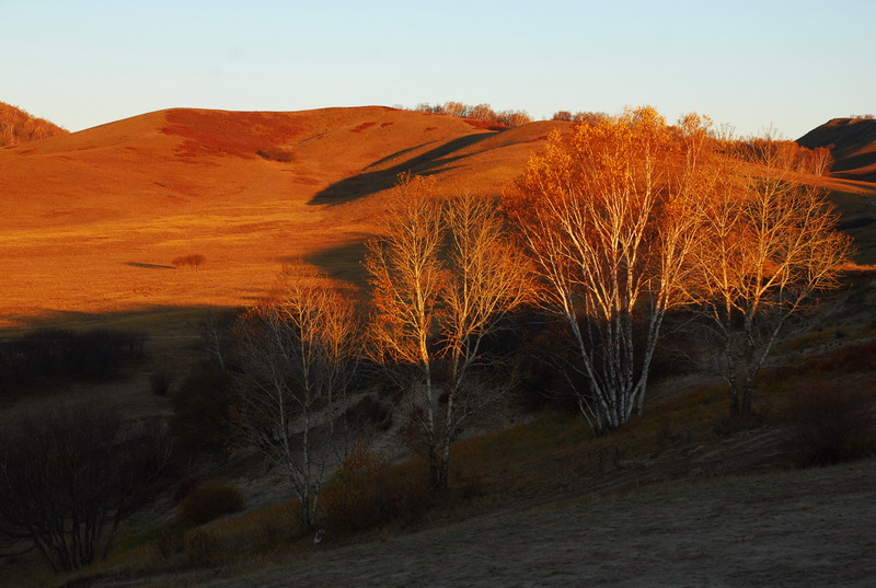 dsc_0439.jpg
