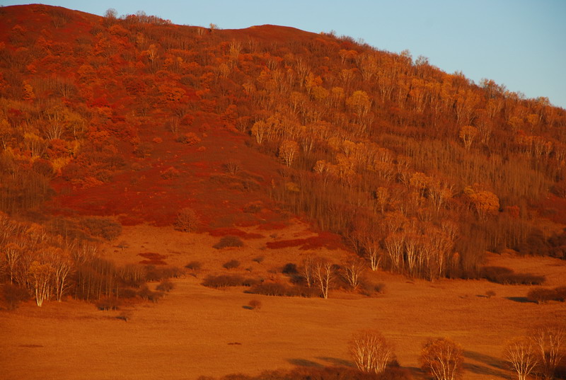 dsc_0446.jpg