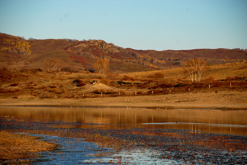 dsc_0490.jpg