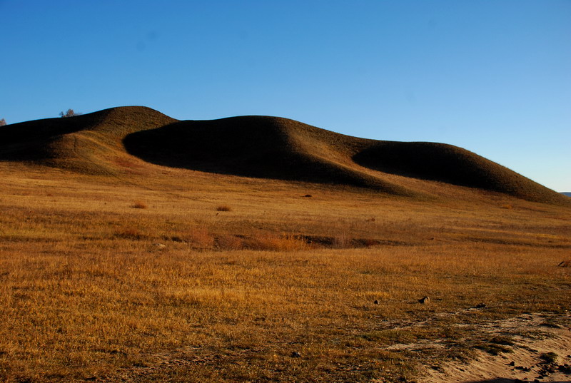 dsc_0514.jpg